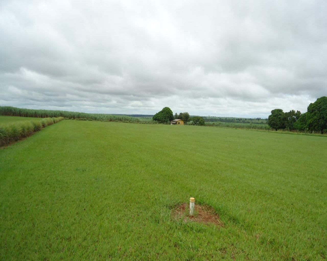 Fazenda à venda, 1463m² - Foto 11