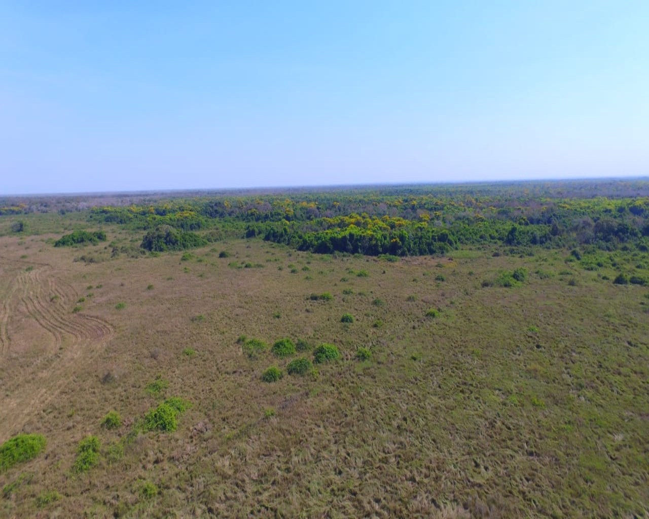 Fazenda à venda, 10900m² - Foto 4