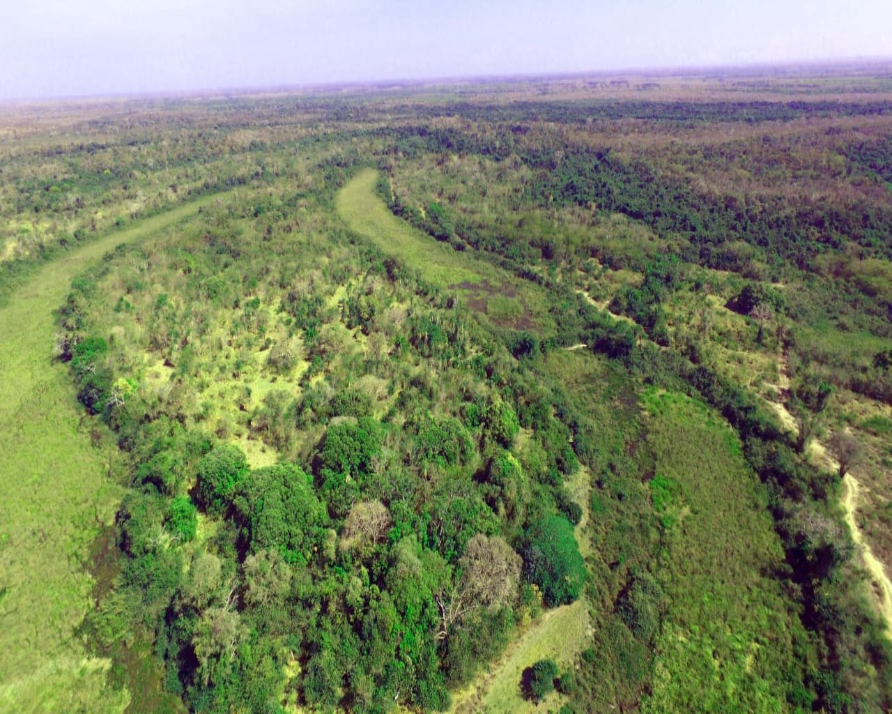 Fazenda à venda, 10900m² - Foto 8