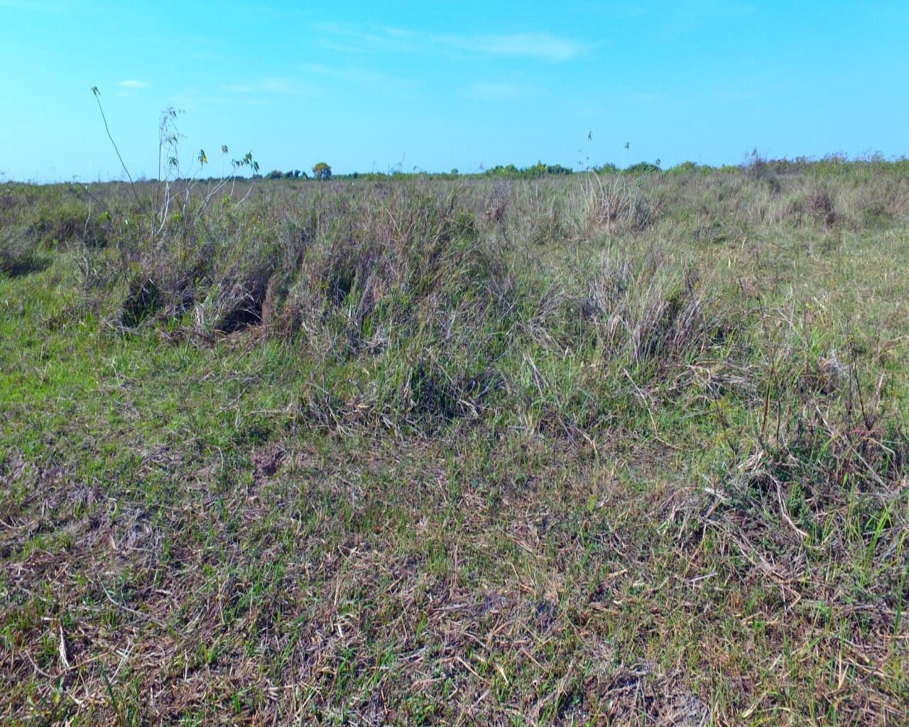 Fazenda à venda, 10900m² - Foto 10