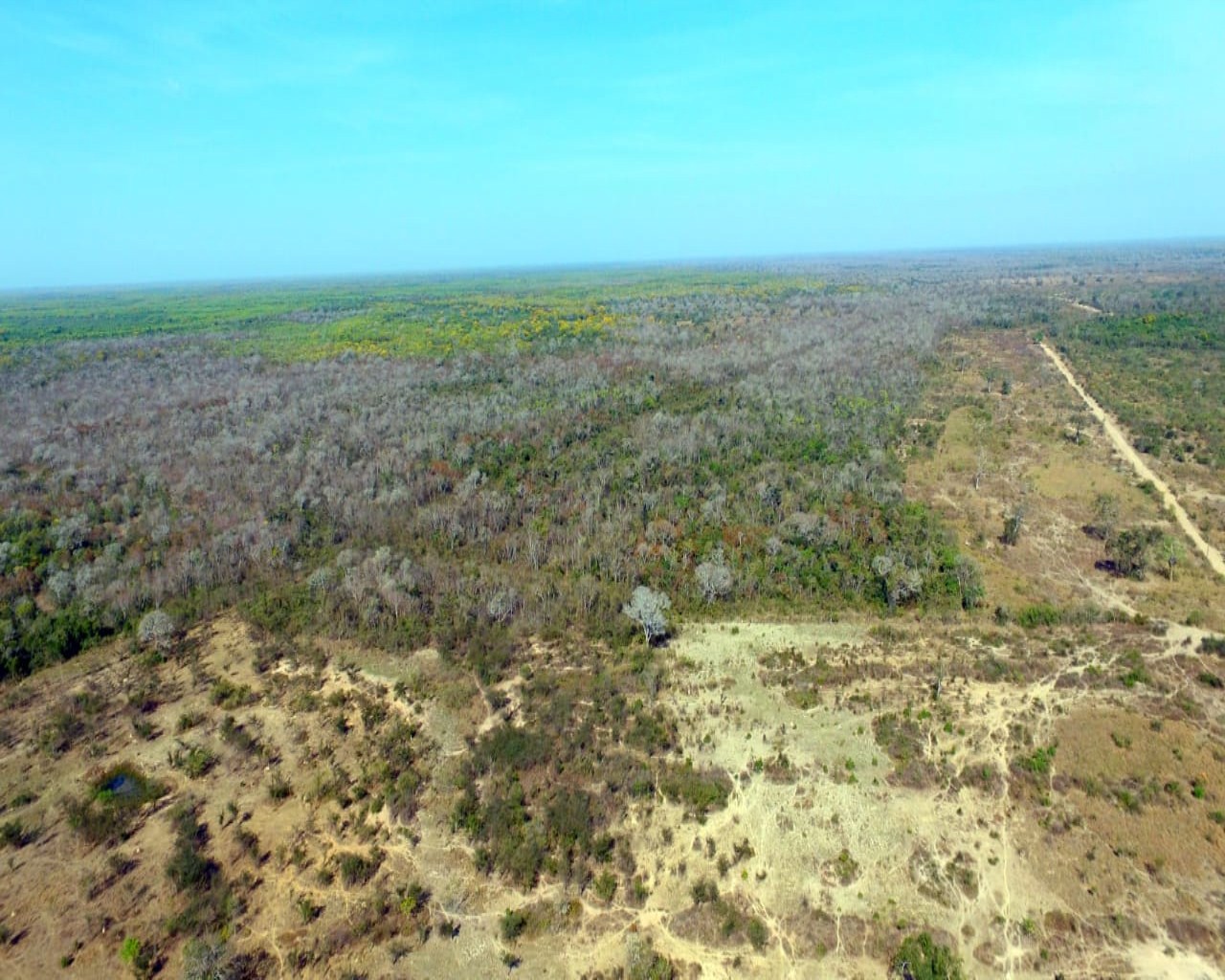 Fazenda à venda, 10900m² - Foto 11