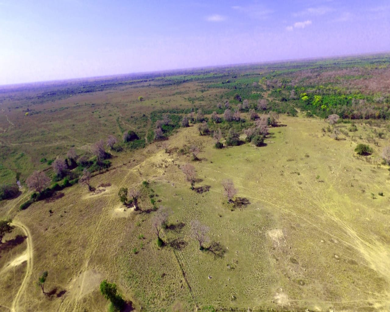 Fazenda à venda, 10900m² - Foto 12