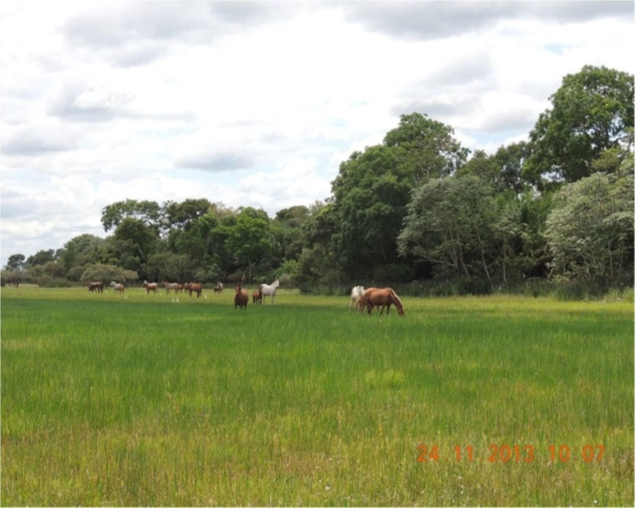 Fazenda à venda, 28000m² - Foto 12