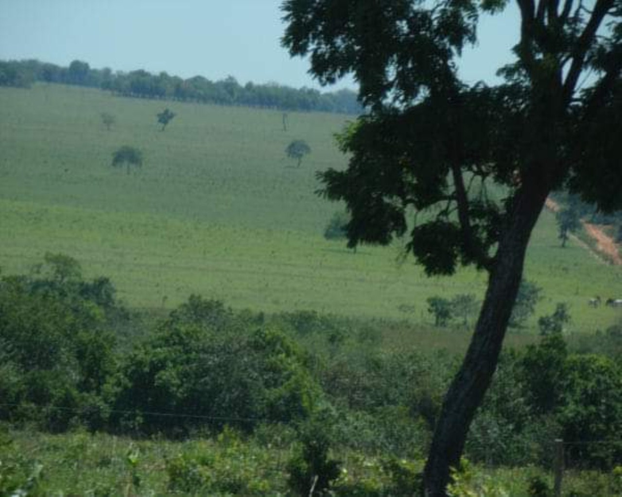 Fazenda à venda, 505m² - Foto 1