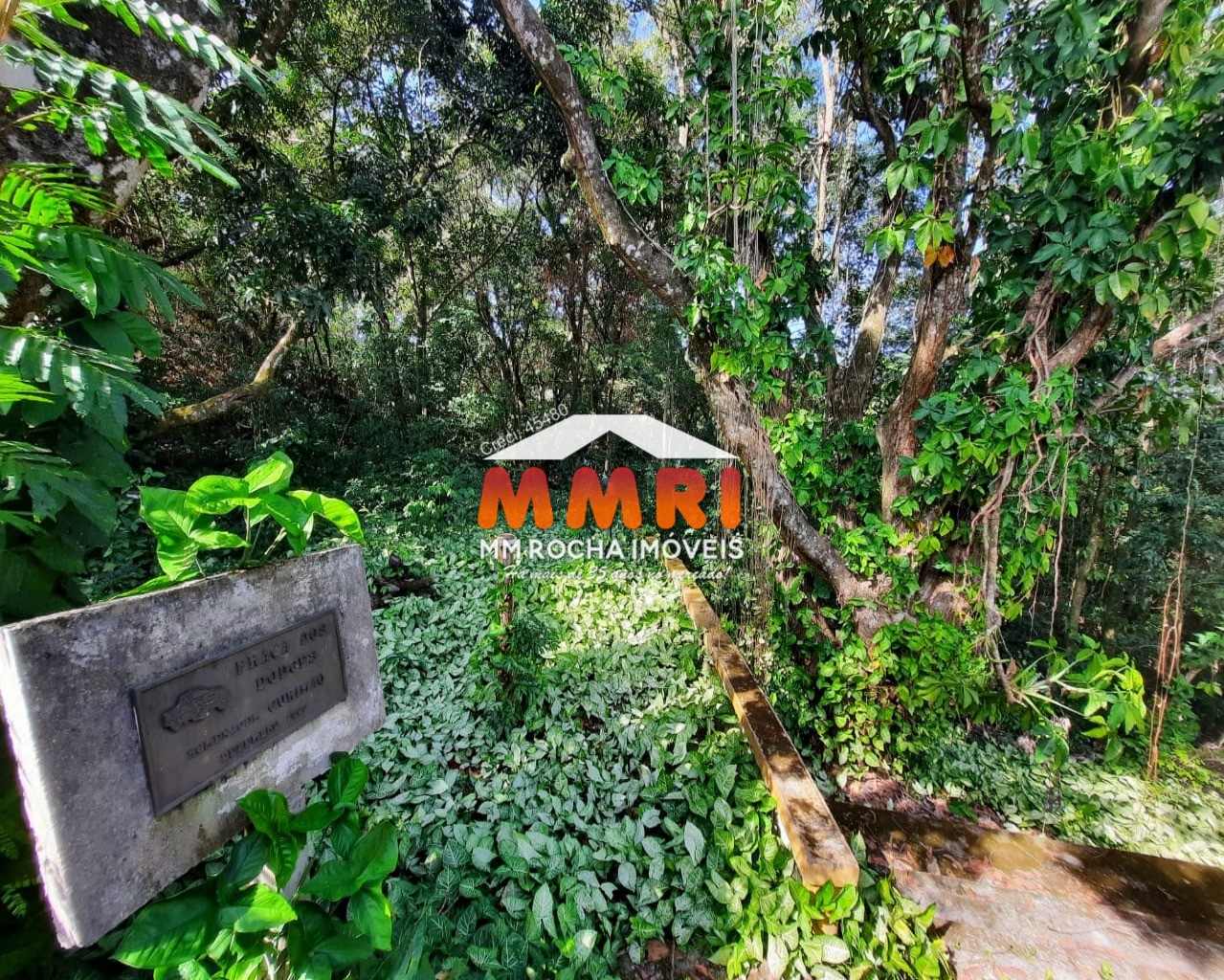 Chácara, 4 quartos, 6000 m² - Foto 26