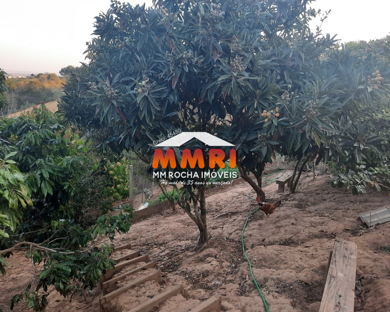 Chácara, 6 quartos, 1050 m² - Foto 38