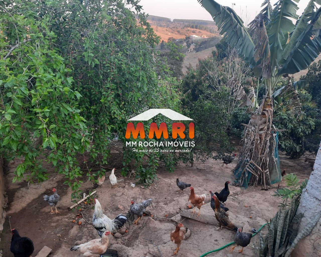 Chácara, 6 quartos, 1050 m² - Foto 32