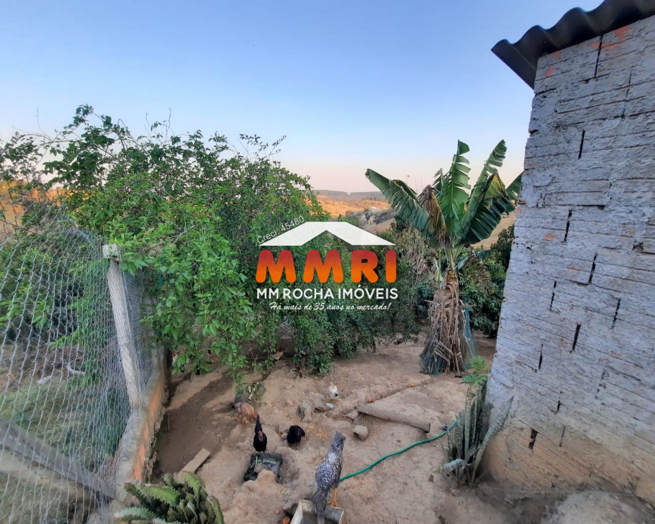 Chácara, 6 quartos, 1050 m² - Foto 43