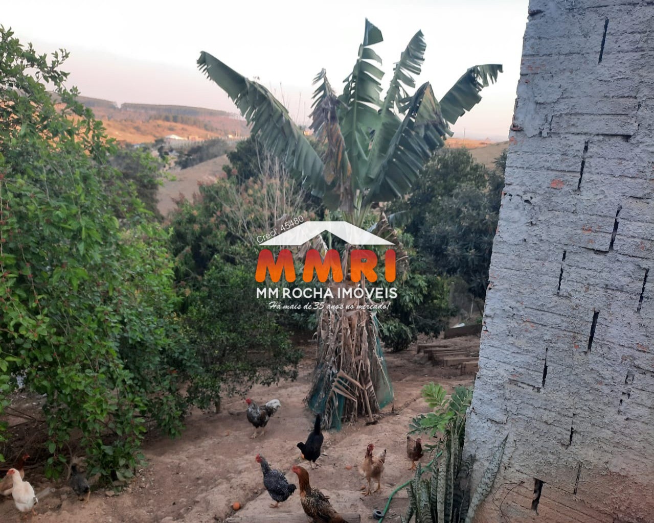 Chácara, 6 quartos, 1050 m² - Foto 39