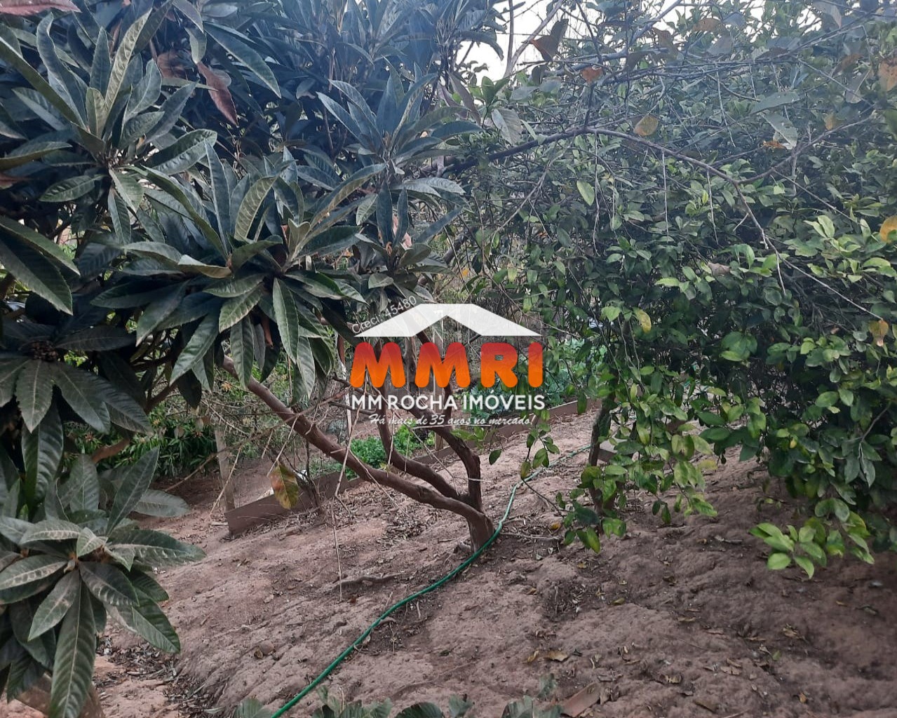 Chácara, 6 quartos, 1050 m² - Foto 37