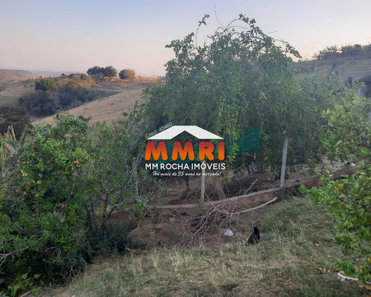 Chácara, 6 quartos, 1050 m² - Foto 33