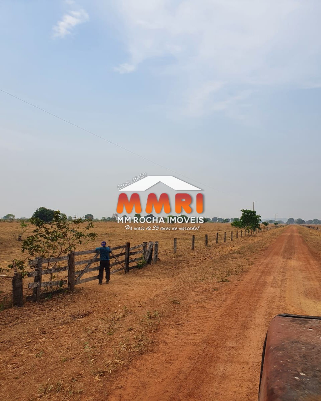 Fazenda à venda, 55000m² - Foto 8