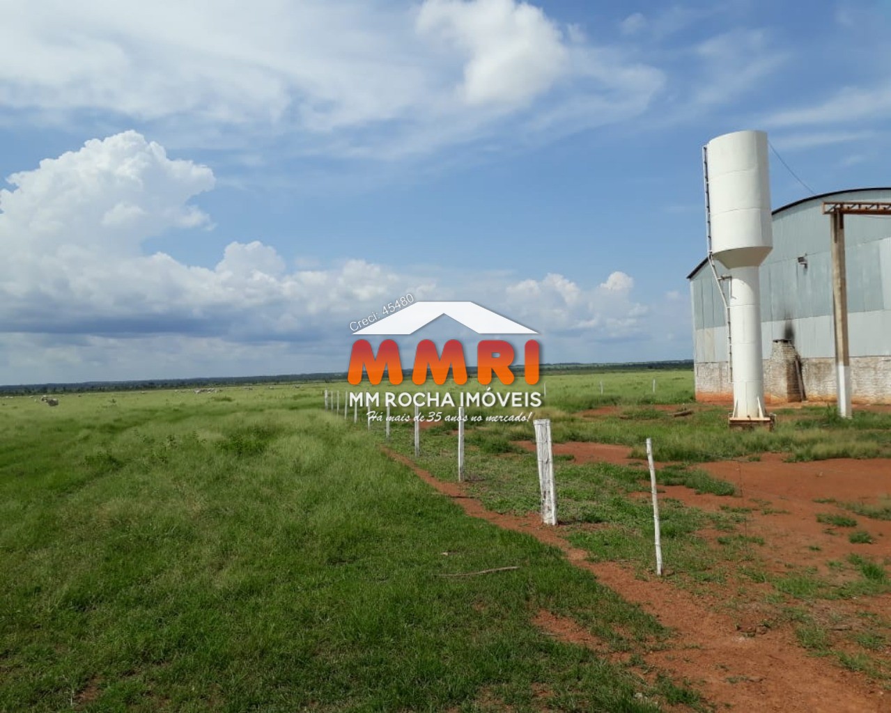 Fazenda à venda, 1000m² - Foto 8