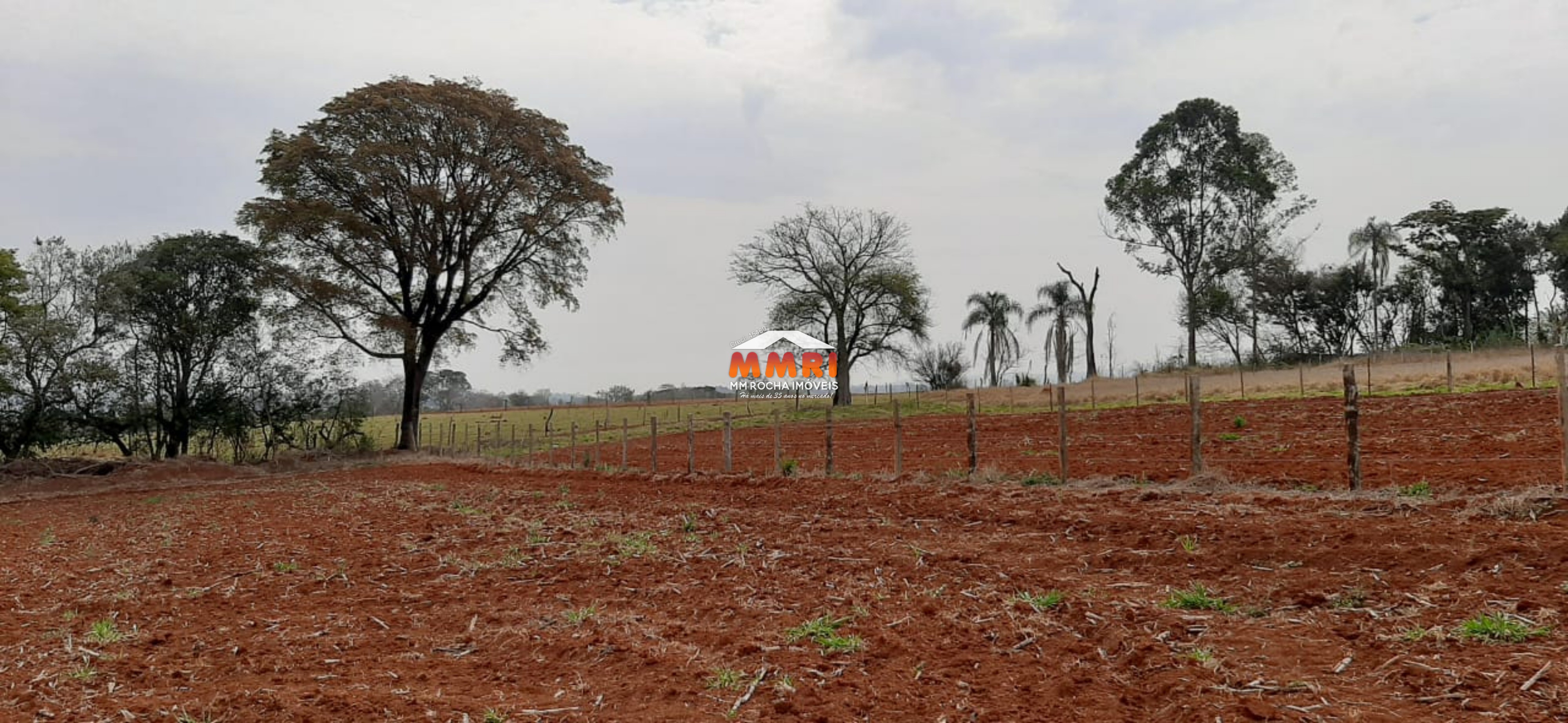 Terreno, 2500 m² - Foto 2