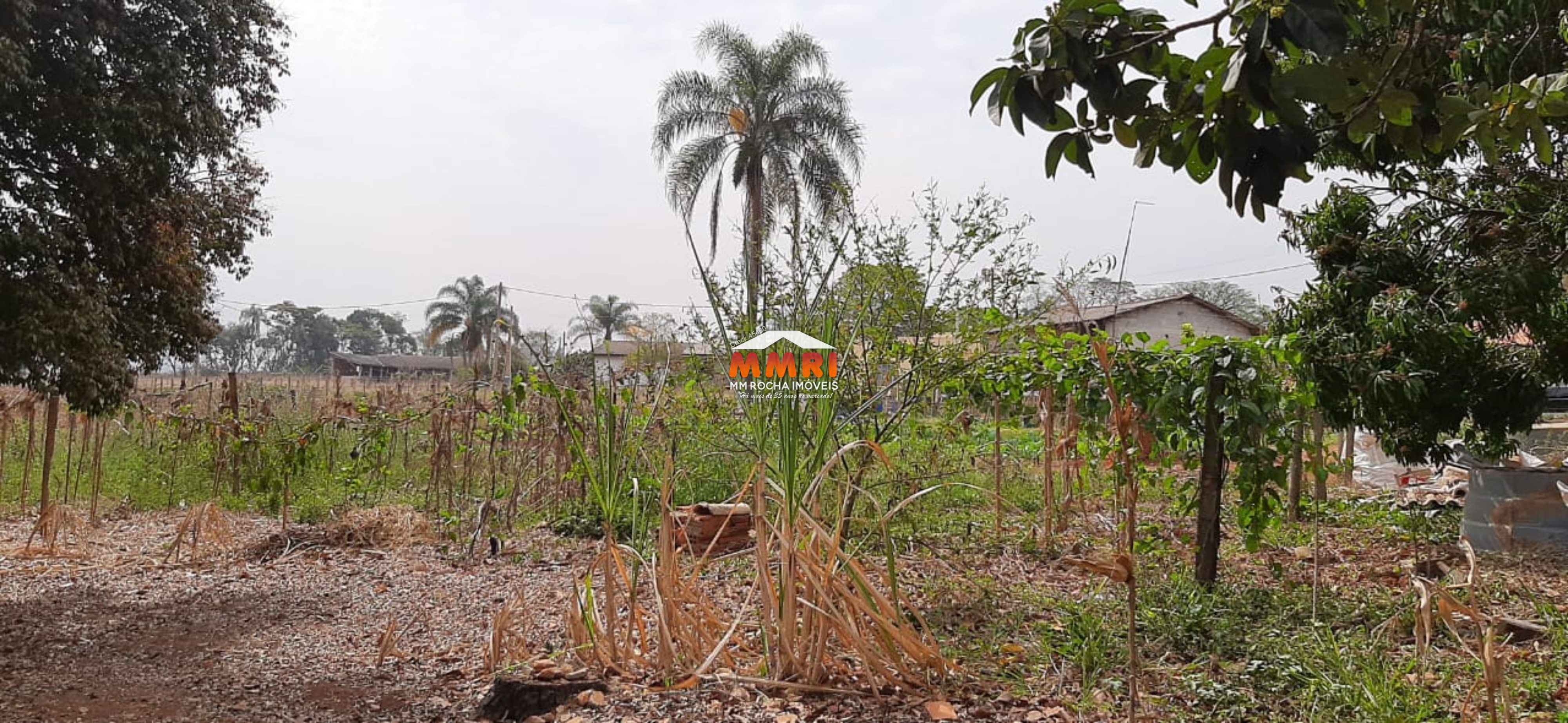 Terreno, 3750 m² - Foto 23