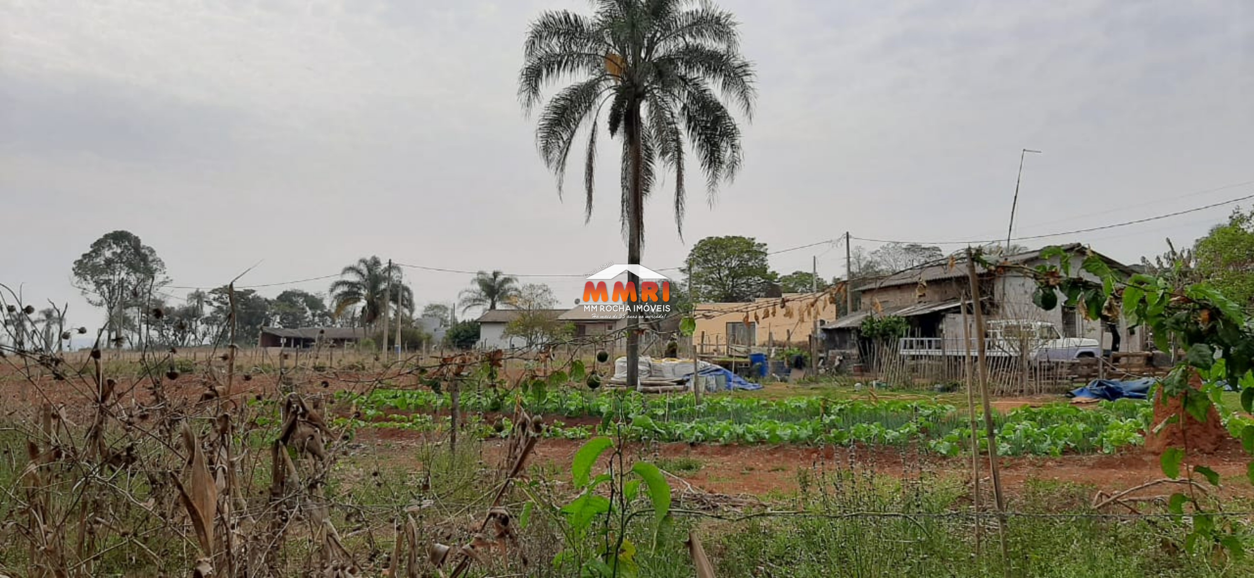 Terreno, 3750 m² - Foto 10