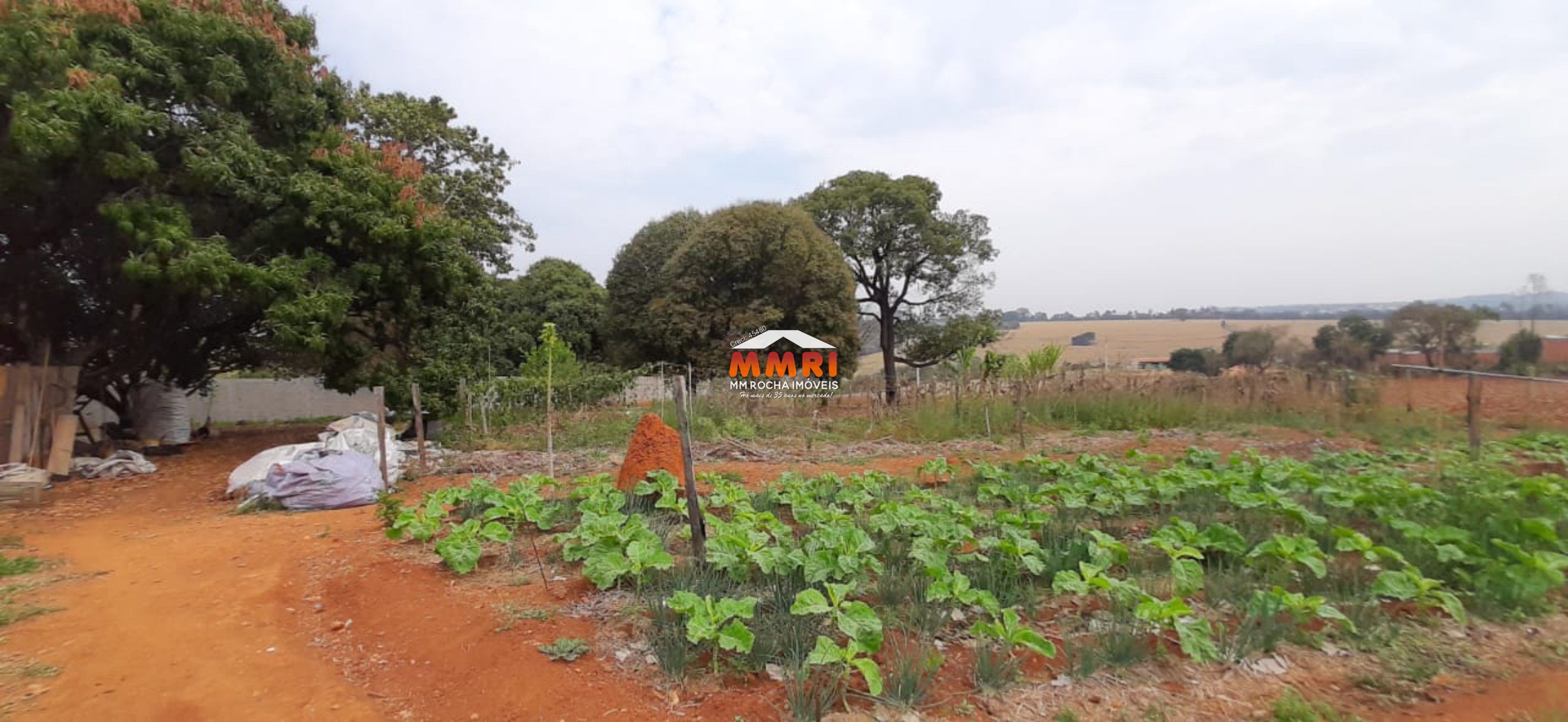 Terreno, 3750 m² - Foto 8