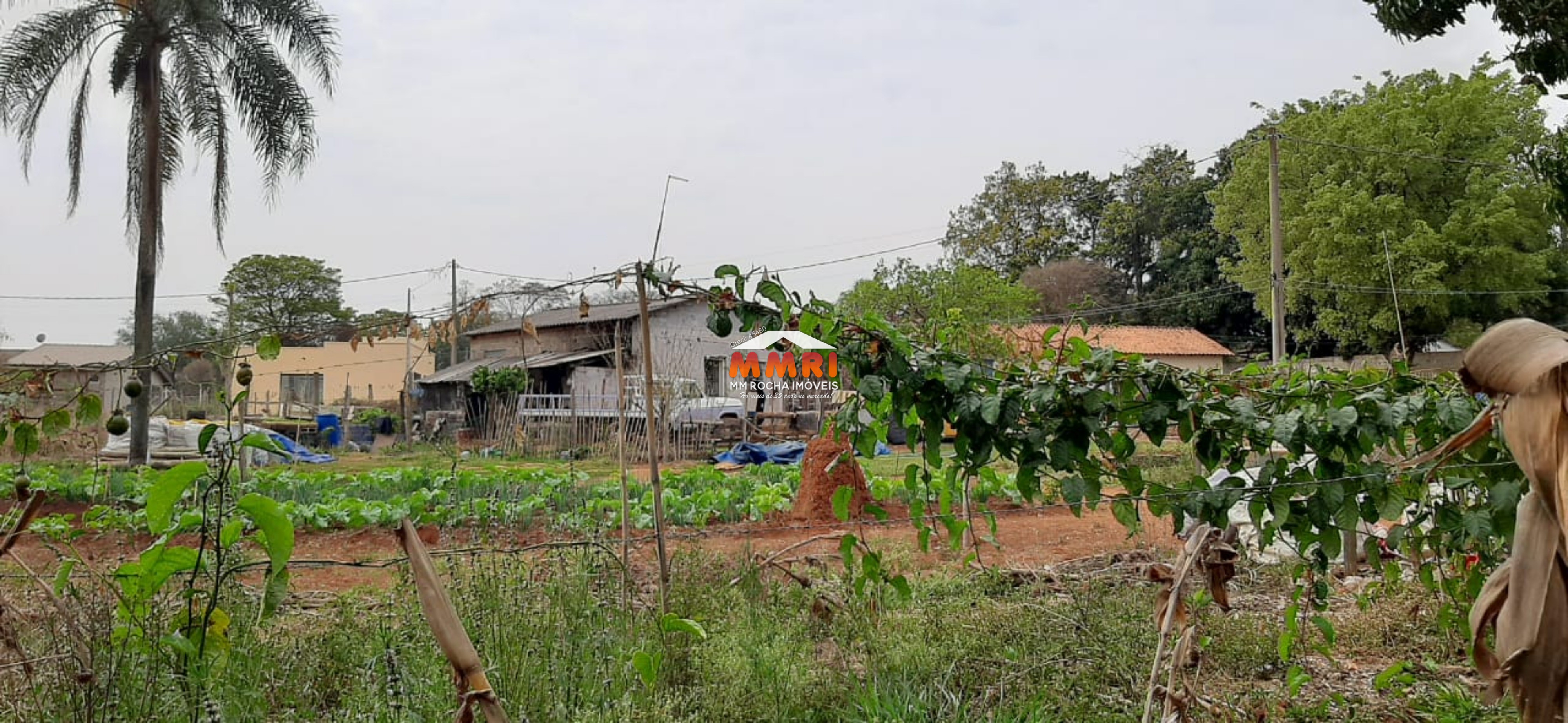 Terreno, 3750 m² - Foto 13