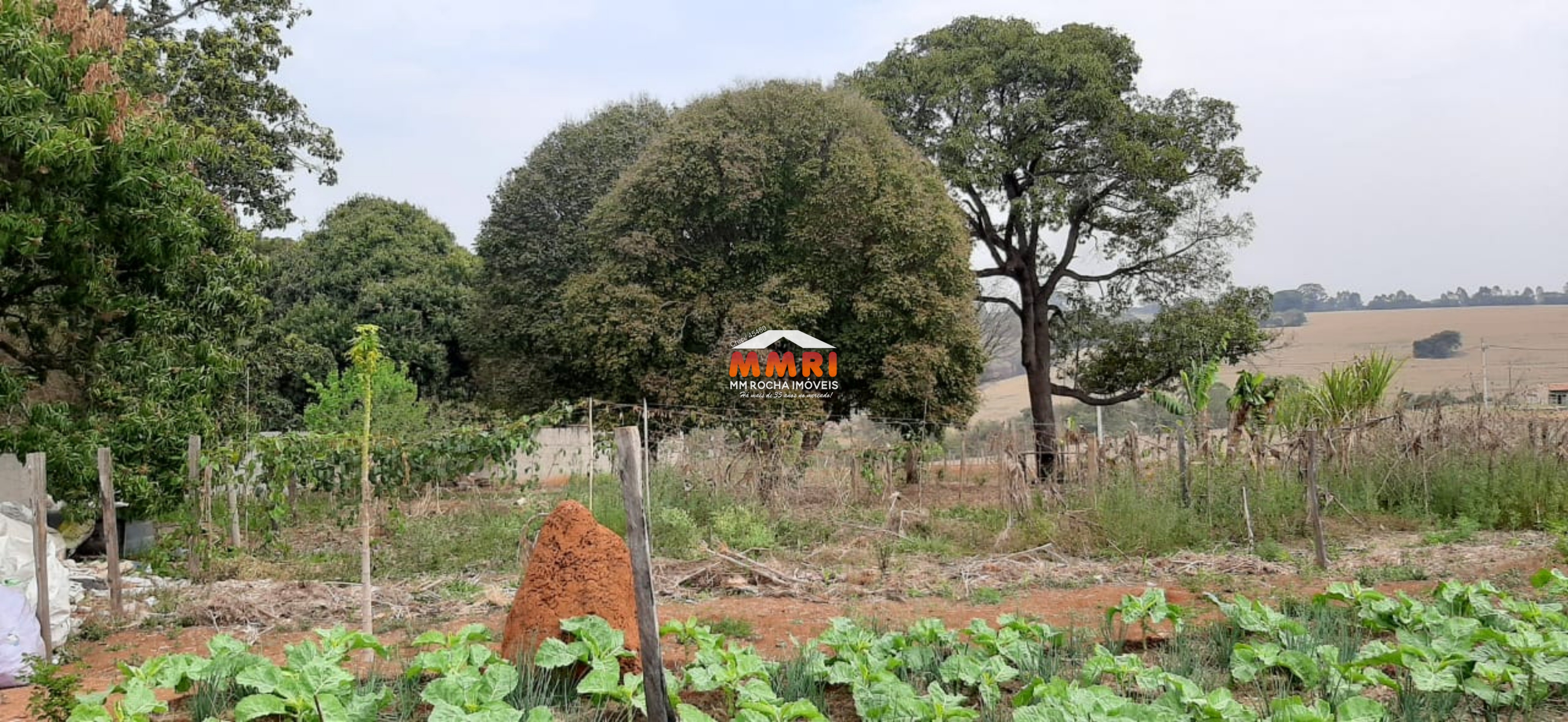 Terreno, 3750 m² - Foto 7