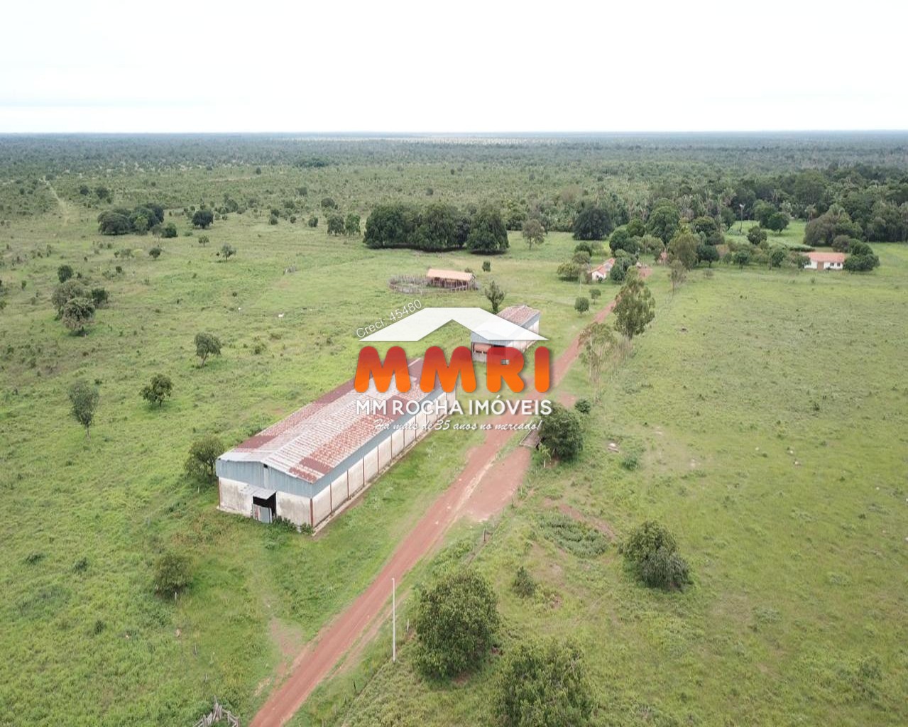 Fazenda à venda, 55000m² - Foto 6