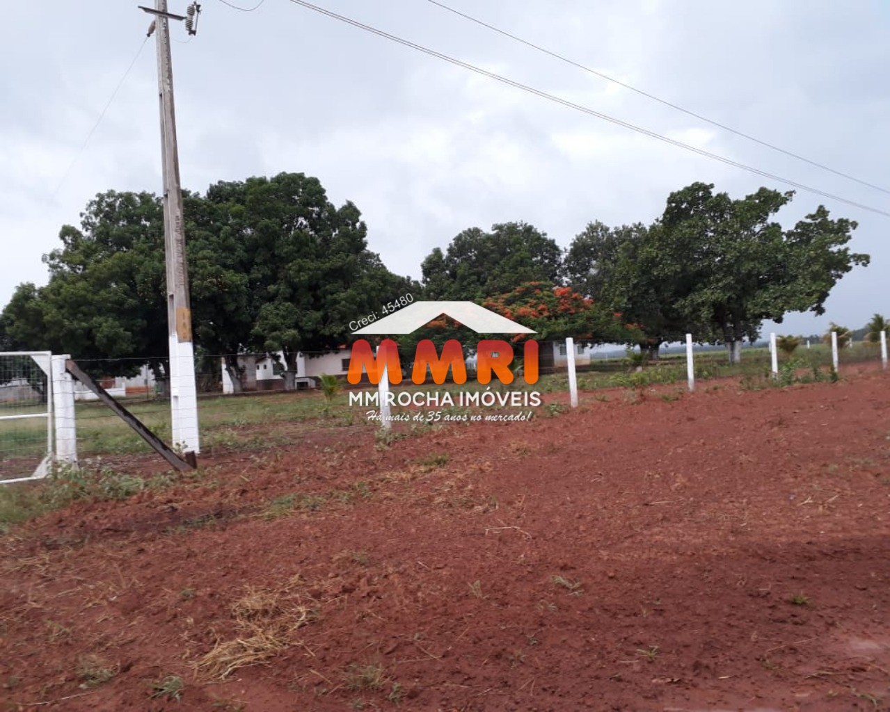 Fazenda à venda, 1000m² - Foto 7