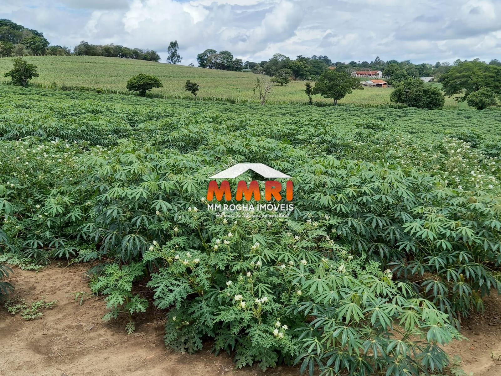 Sítio, 6 quartos, 7 m² - Foto 20