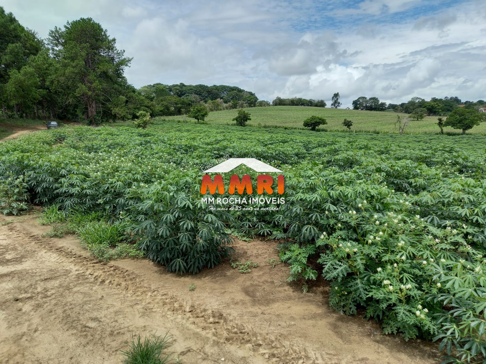 Sítio, 6 quartos, 7 m² - Foto 19