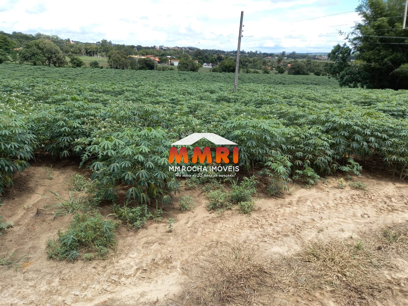 Sítio, 6 quartos, 7 m² - Foto 22