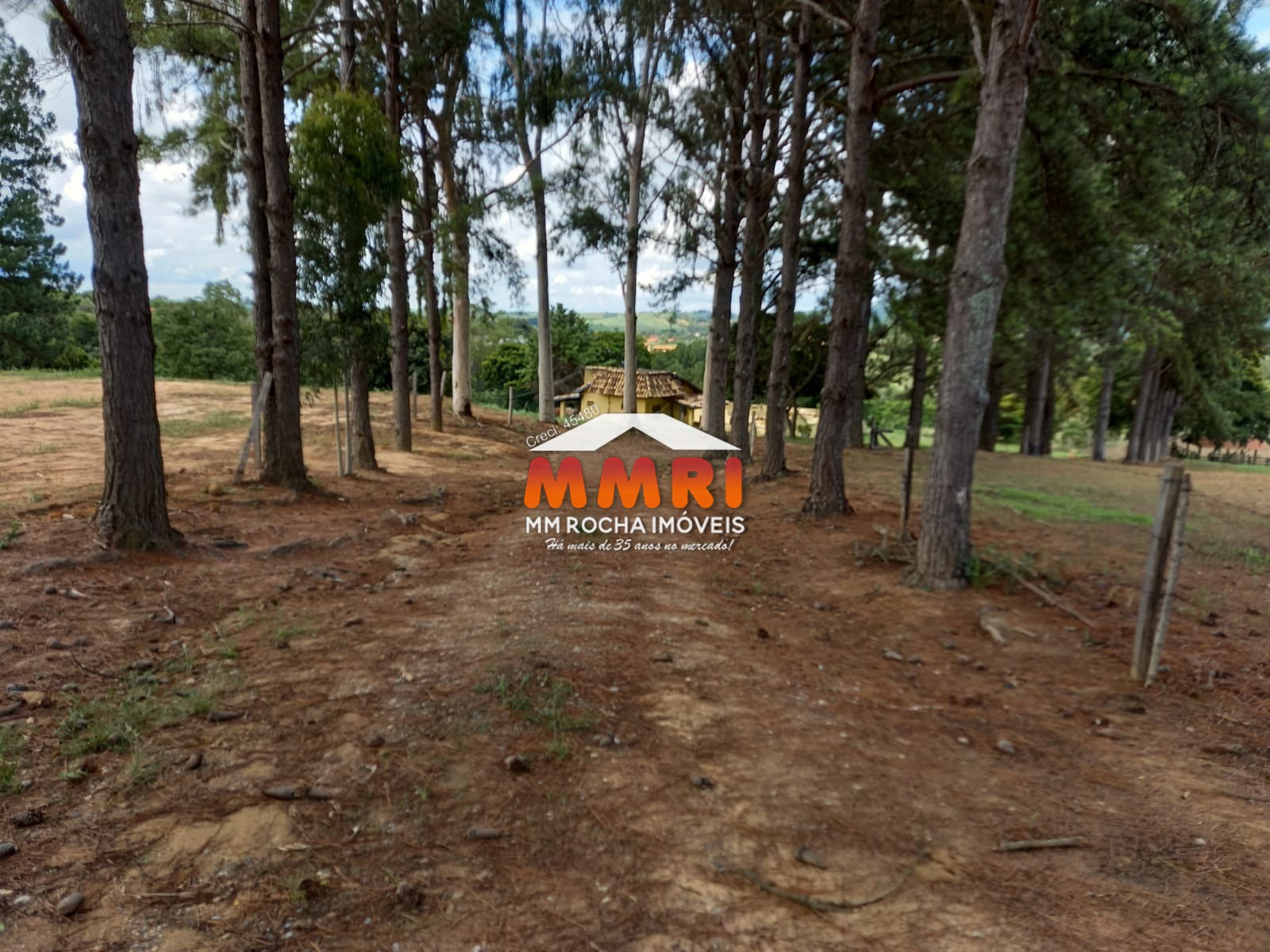 Sítio, 6 quartos, 7 m² - Foto 28