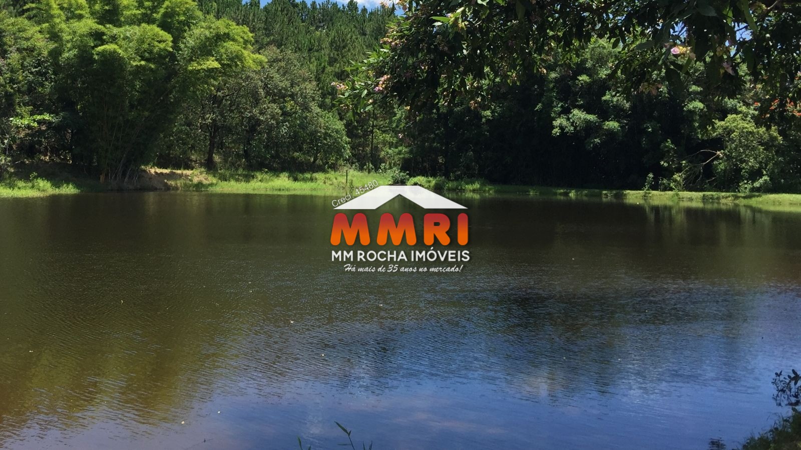 Sítio, 6 quartos, 7 m² - Foto 11