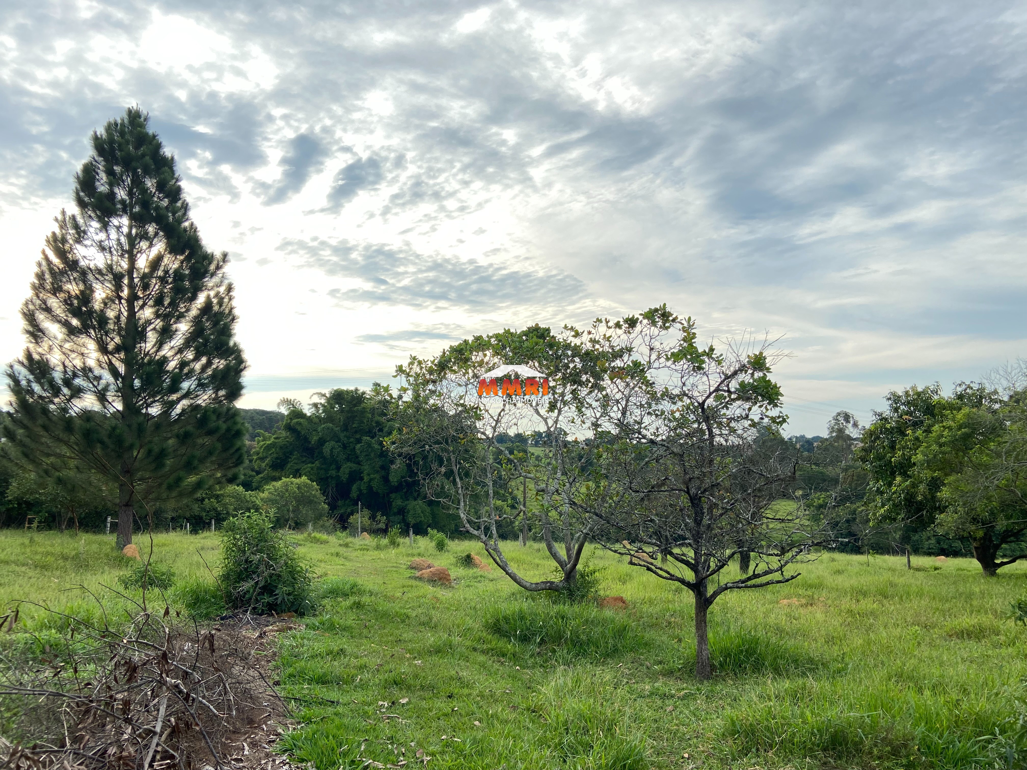 Sítio à venda com 6 quartos, 51000m² - Foto 60