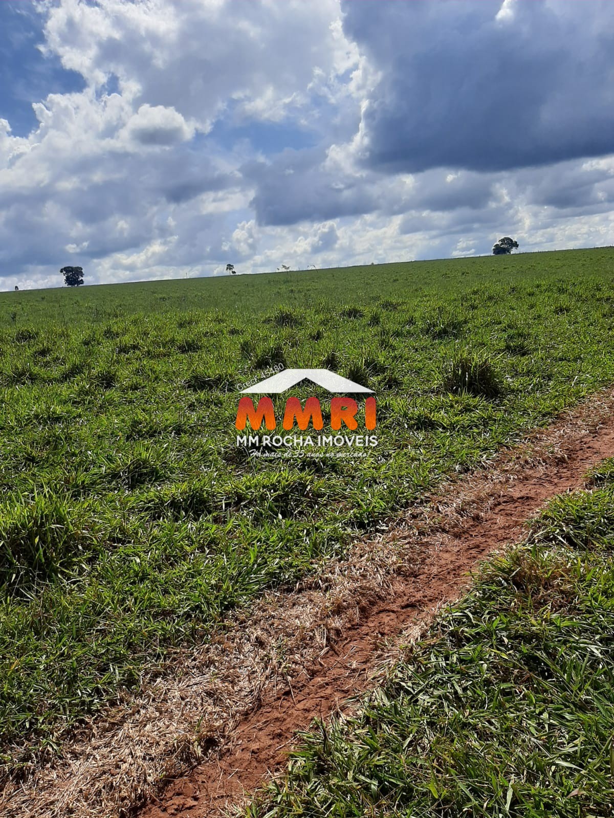 Fazenda à venda, 206m² - Foto 12