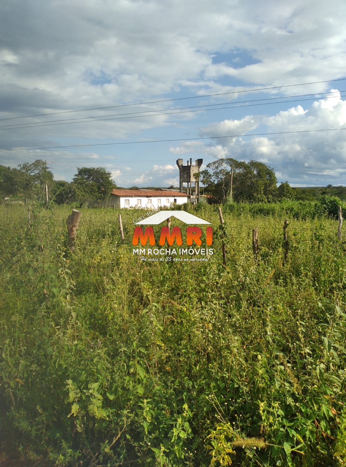 Fazenda à venda, 20000m² - Foto 4