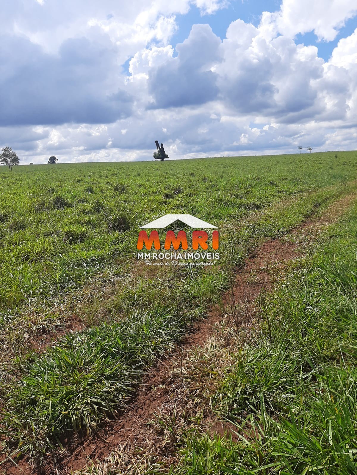 Fazenda à venda, 206m² - Foto 6