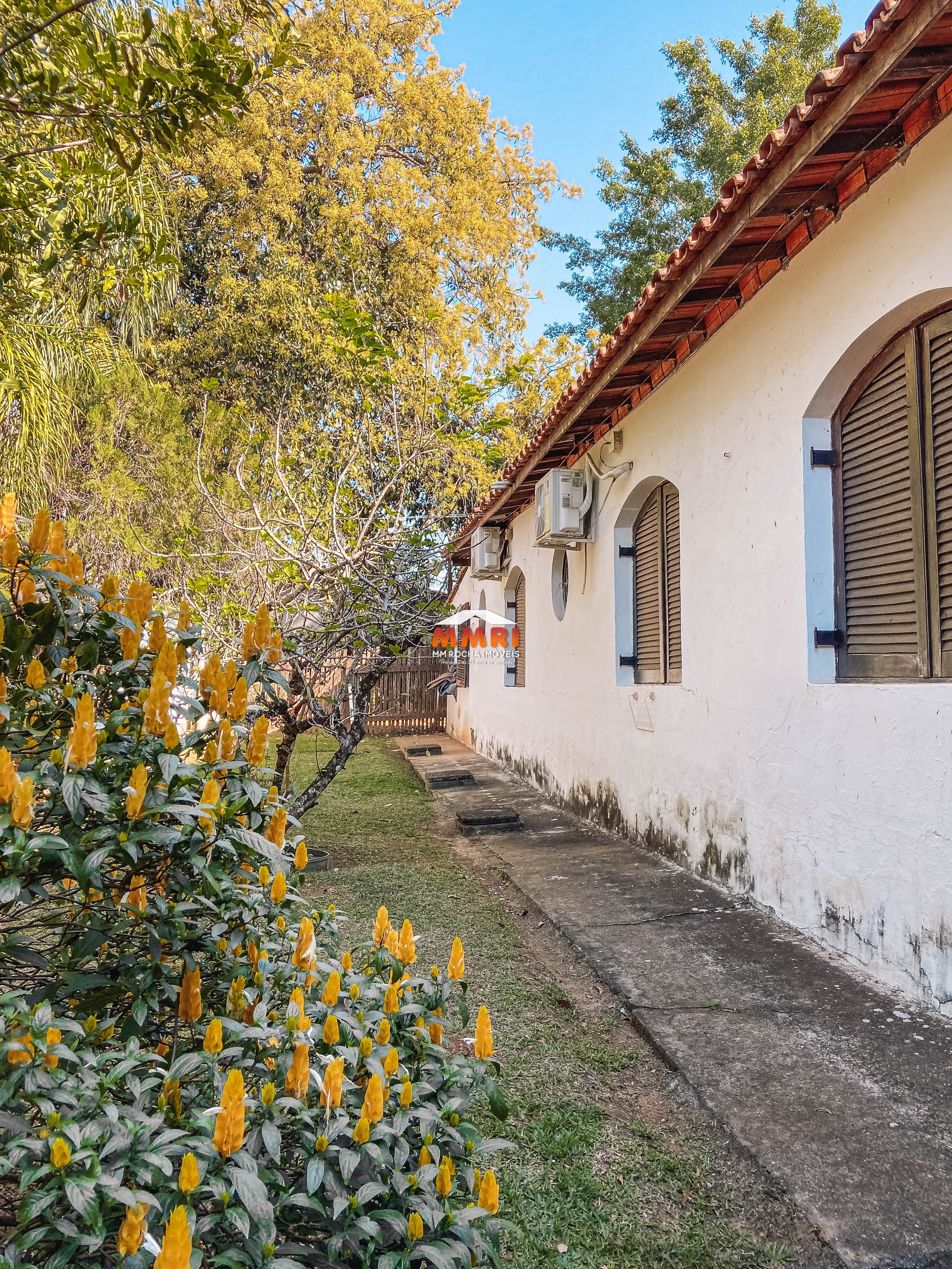 Chácara à venda com 4 quartos, 4116m² - Foto 15