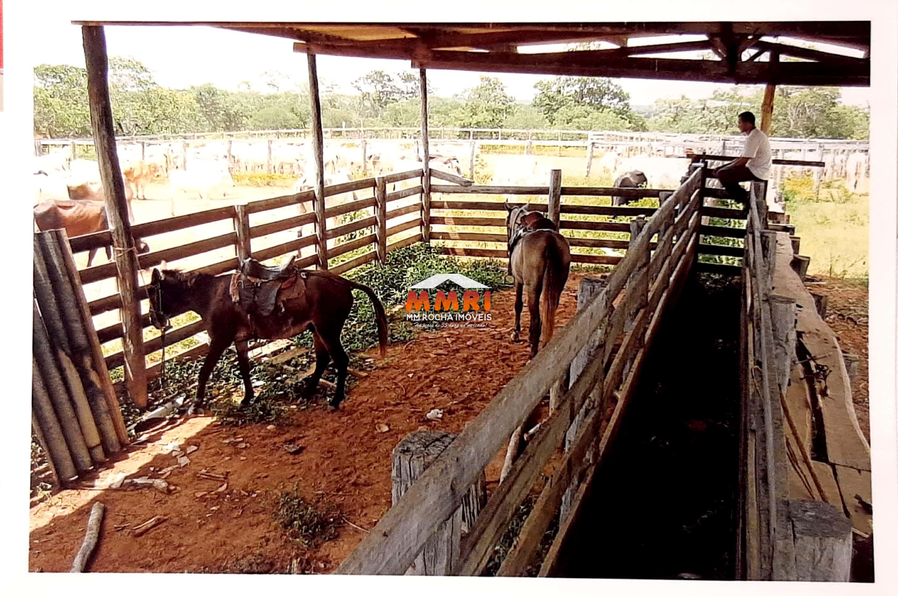 Fazenda à venda com 7 quartos, 15000m² - Foto 7