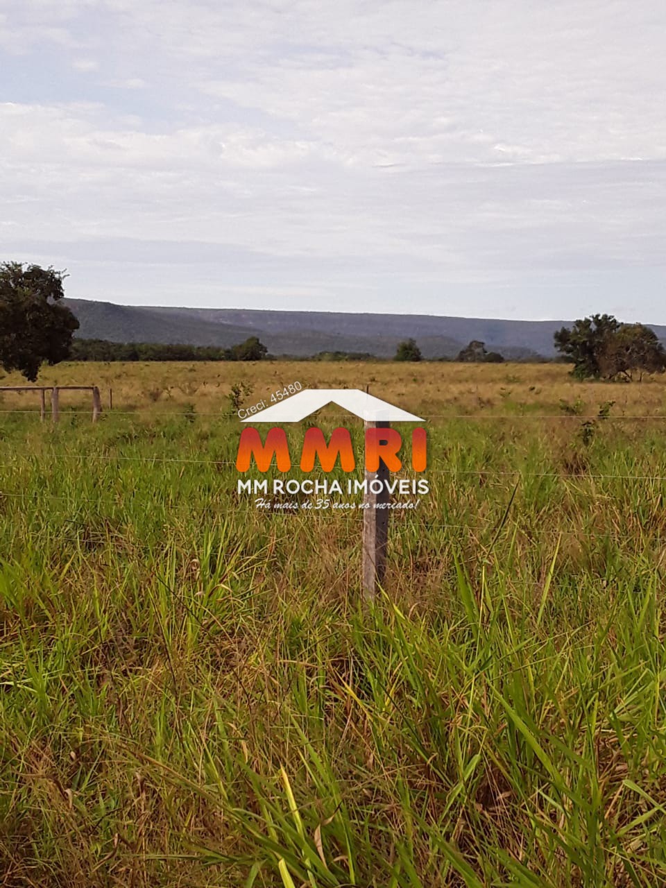 Fazenda à venda com 7 quartos, 7430m² - Foto 11