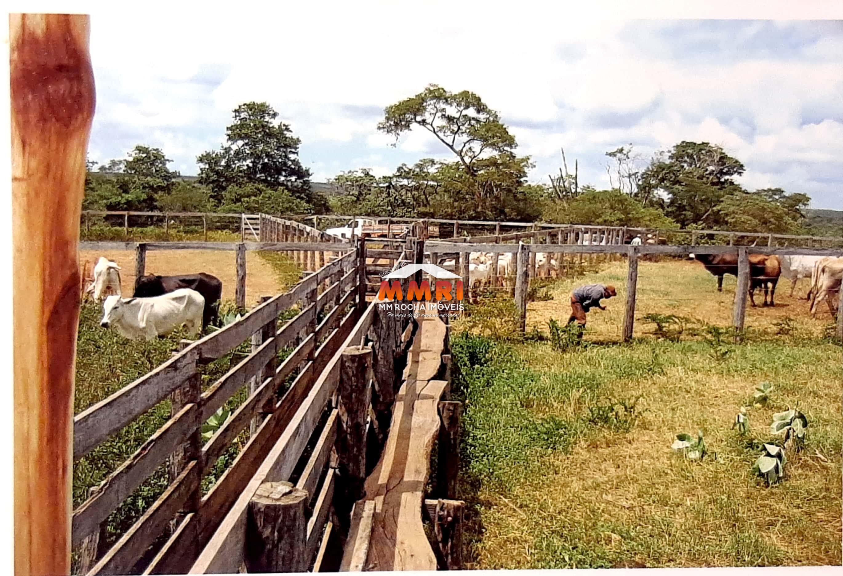 Fazenda à venda com 7 quartos, 15000m² - Foto 6