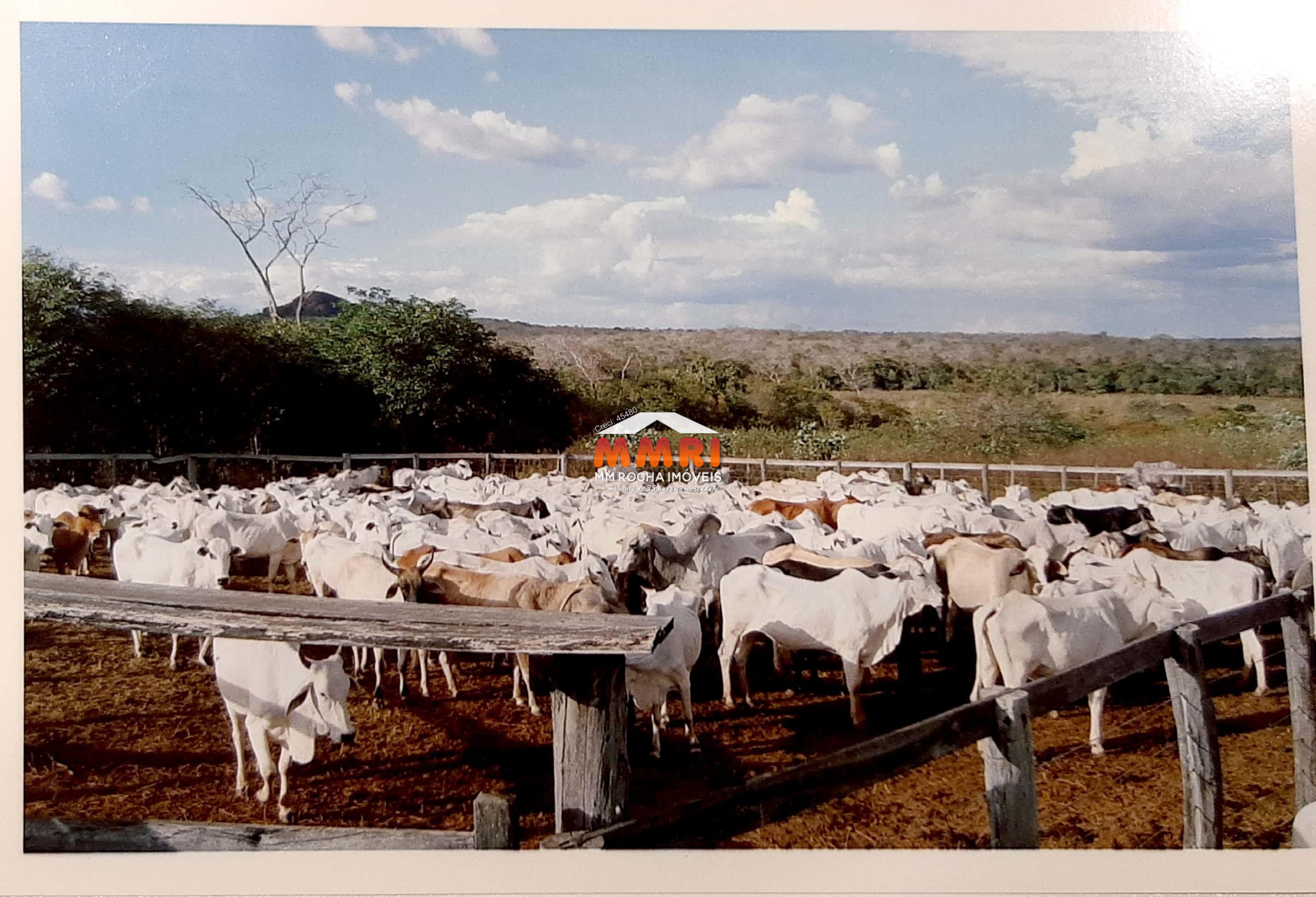 Fazenda à venda com 7 quartos, 15000m² - Foto 3