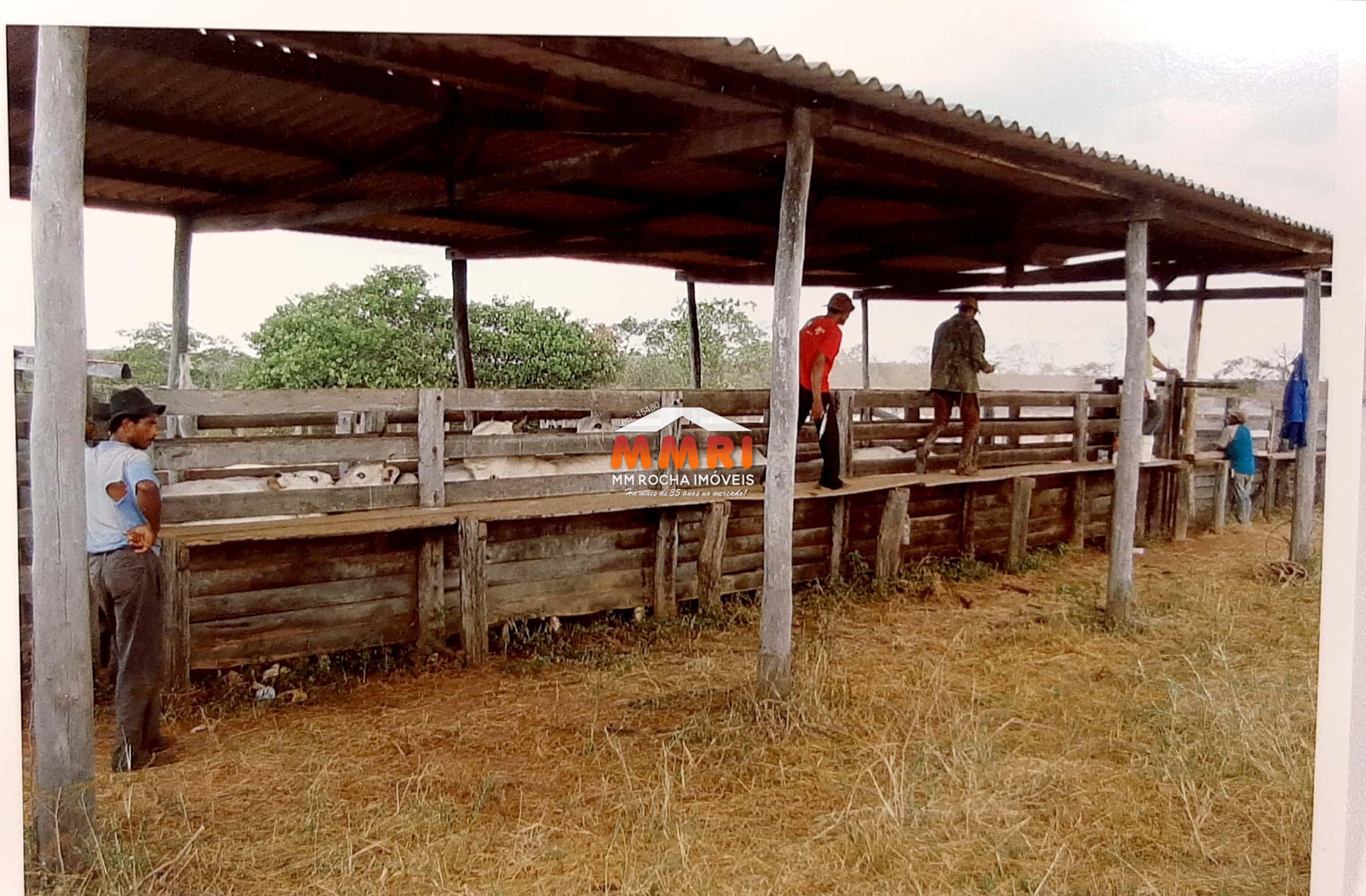 Fazenda à venda com 7 quartos, 15000m² - Foto 4