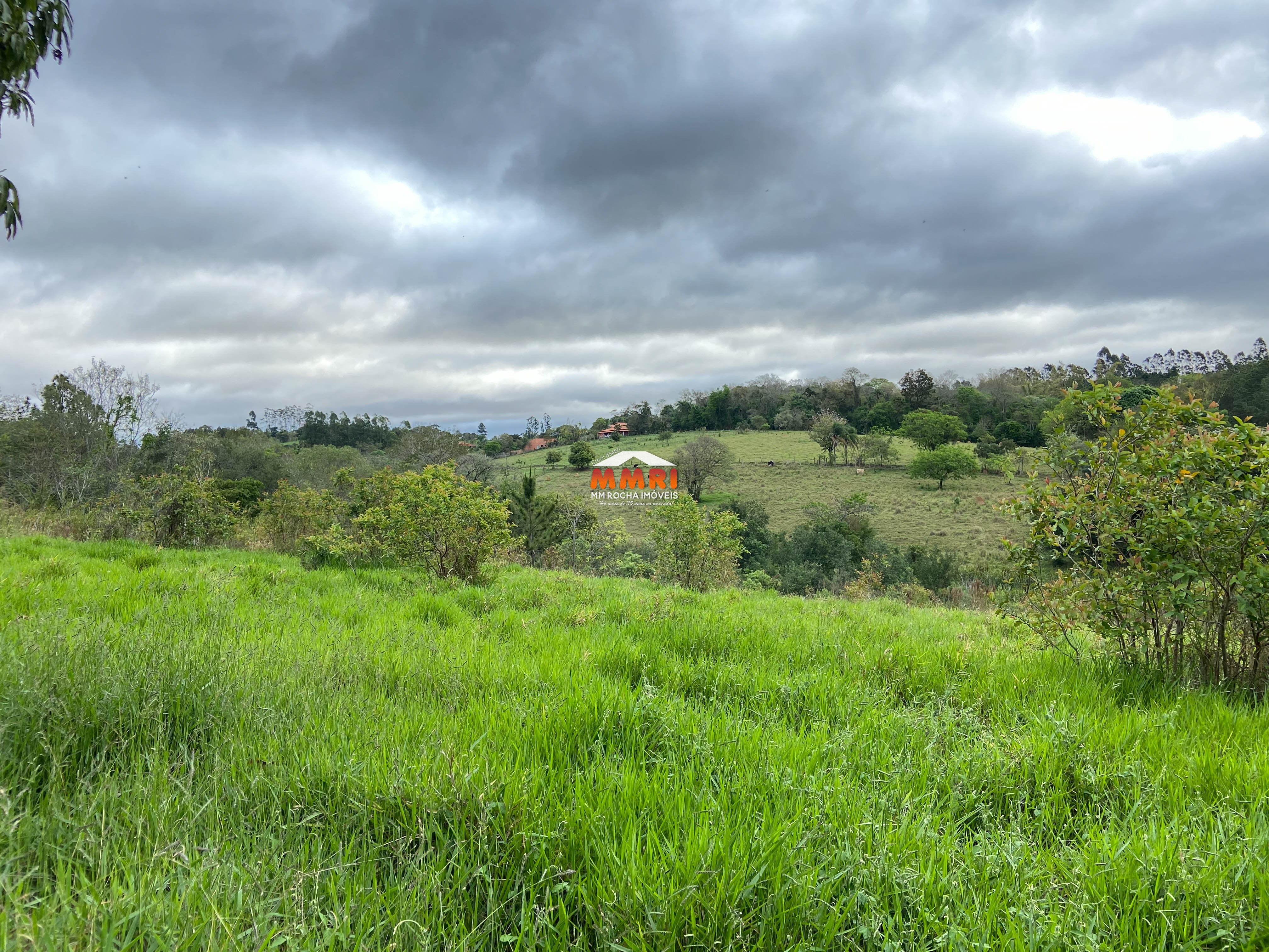 Sítio à venda com 3 quartos, 37000m² - Foto 38