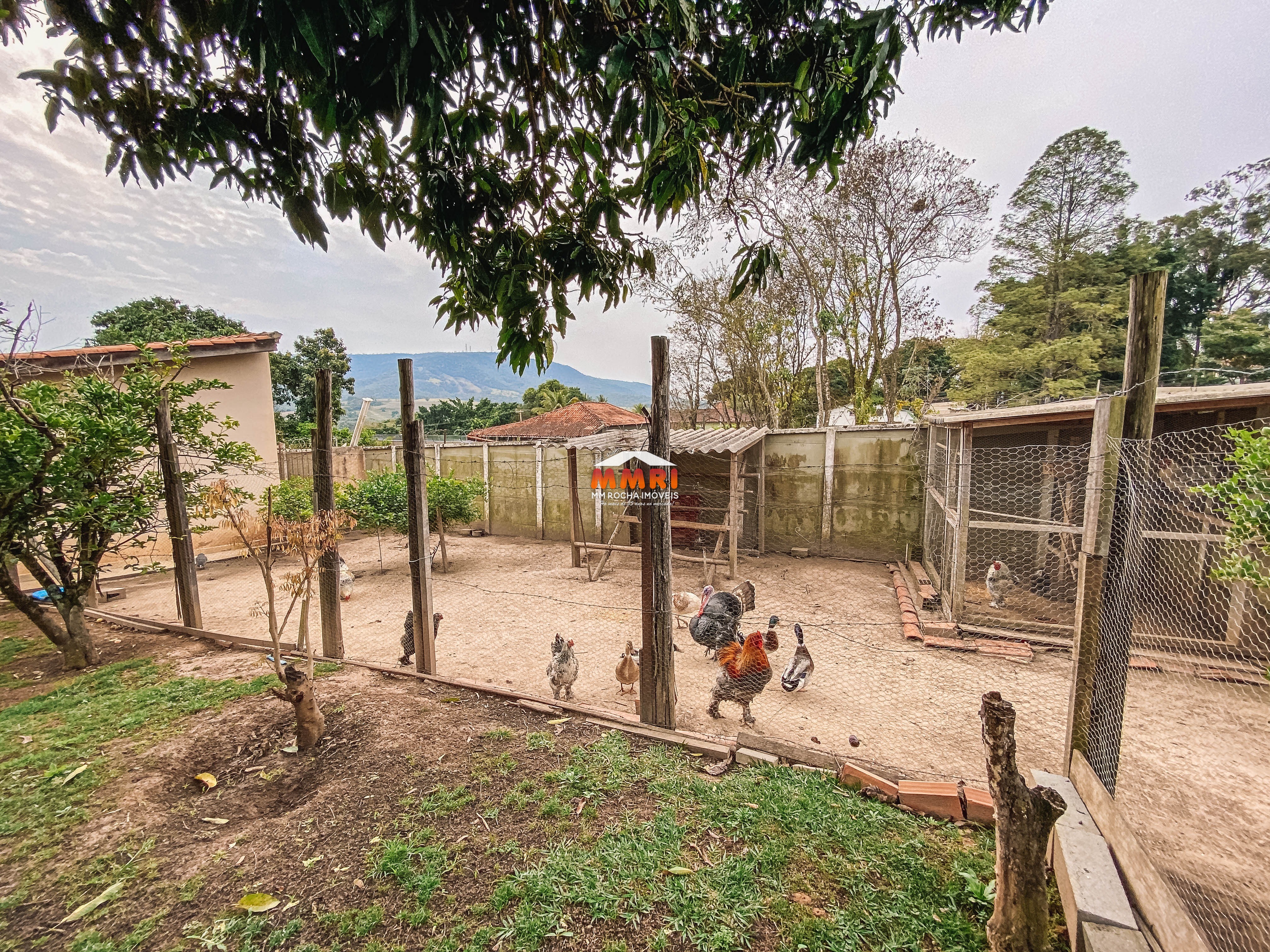 Chácara à venda com 3 quartos, 1000m² - Foto 18