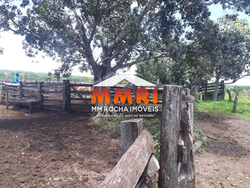 Fazenda à venda, 350m² - Foto 11