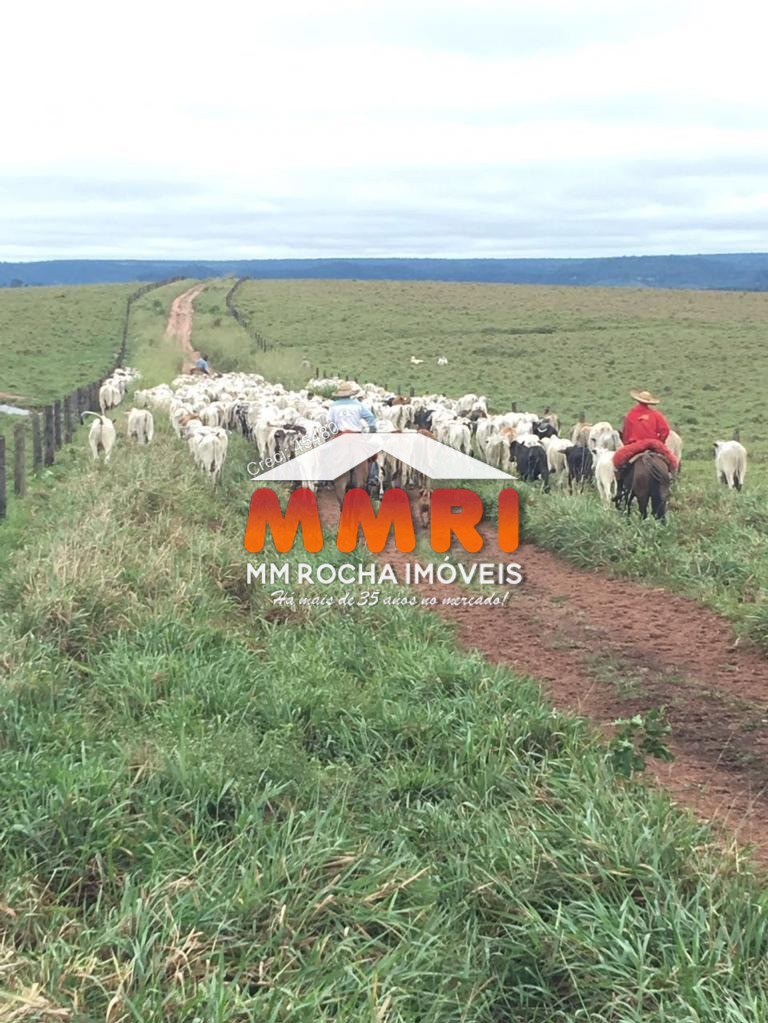 Fazenda à venda, 12000m² - Foto 7