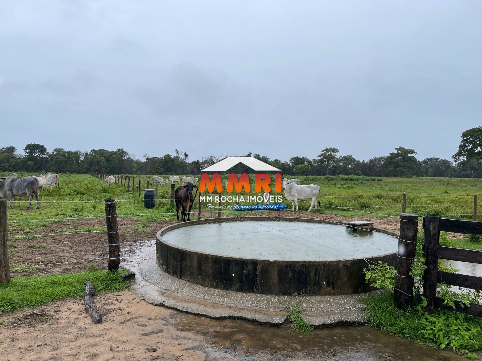 Fazenda à venda, 1575m² - Foto 11