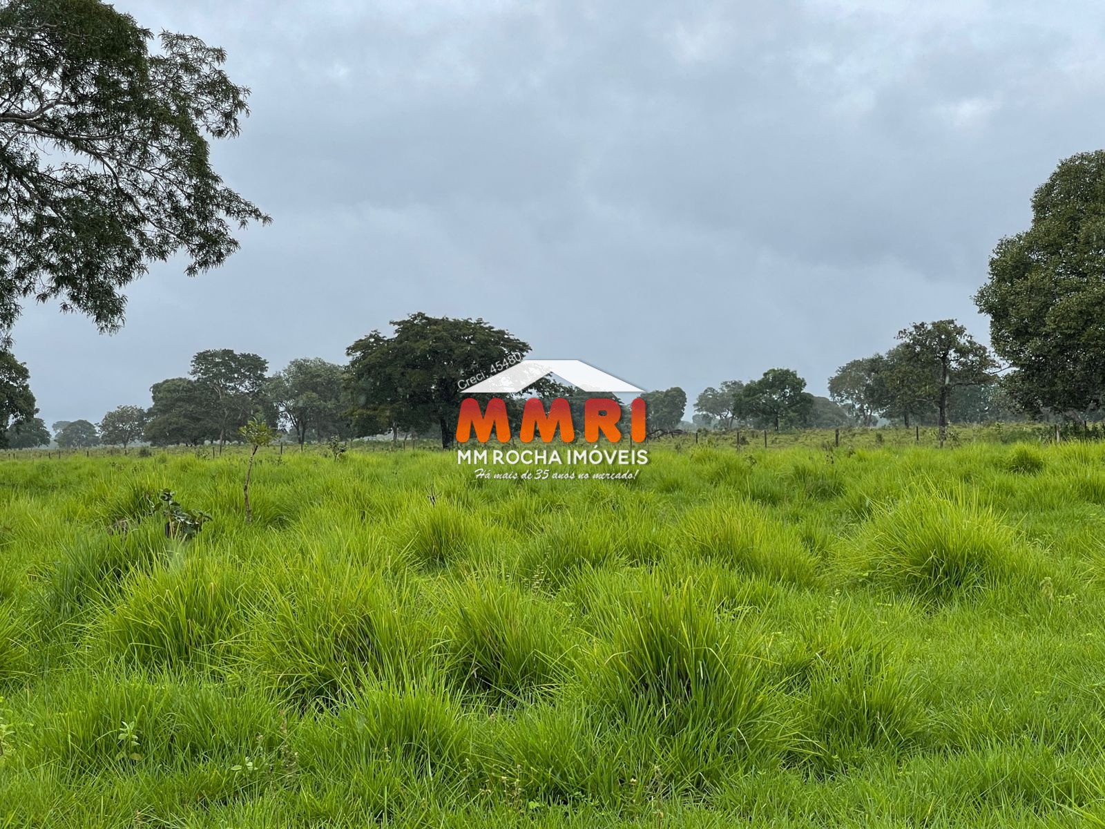 Fazenda à venda, 1575m² - Foto 6