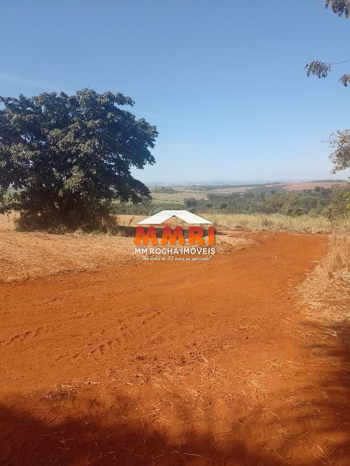 Fazenda à venda, 100m² - Foto 5