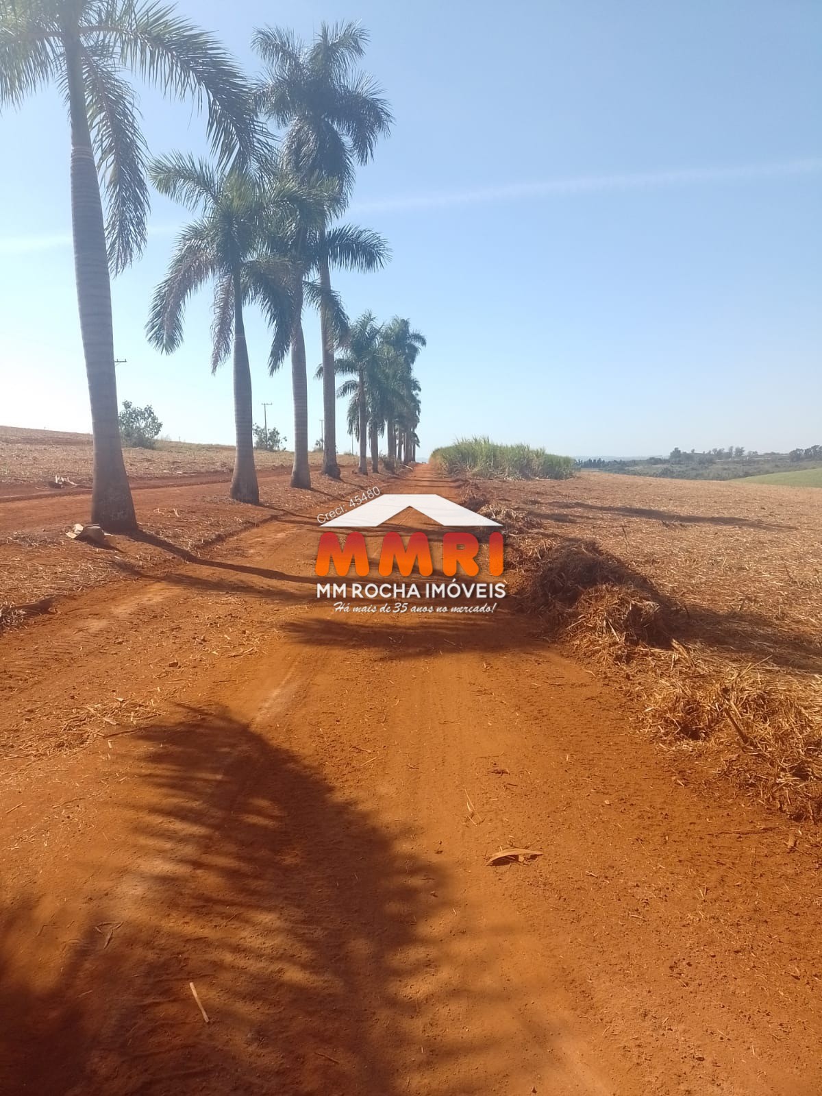 Fazenda à venda, 100m² - Foto 2