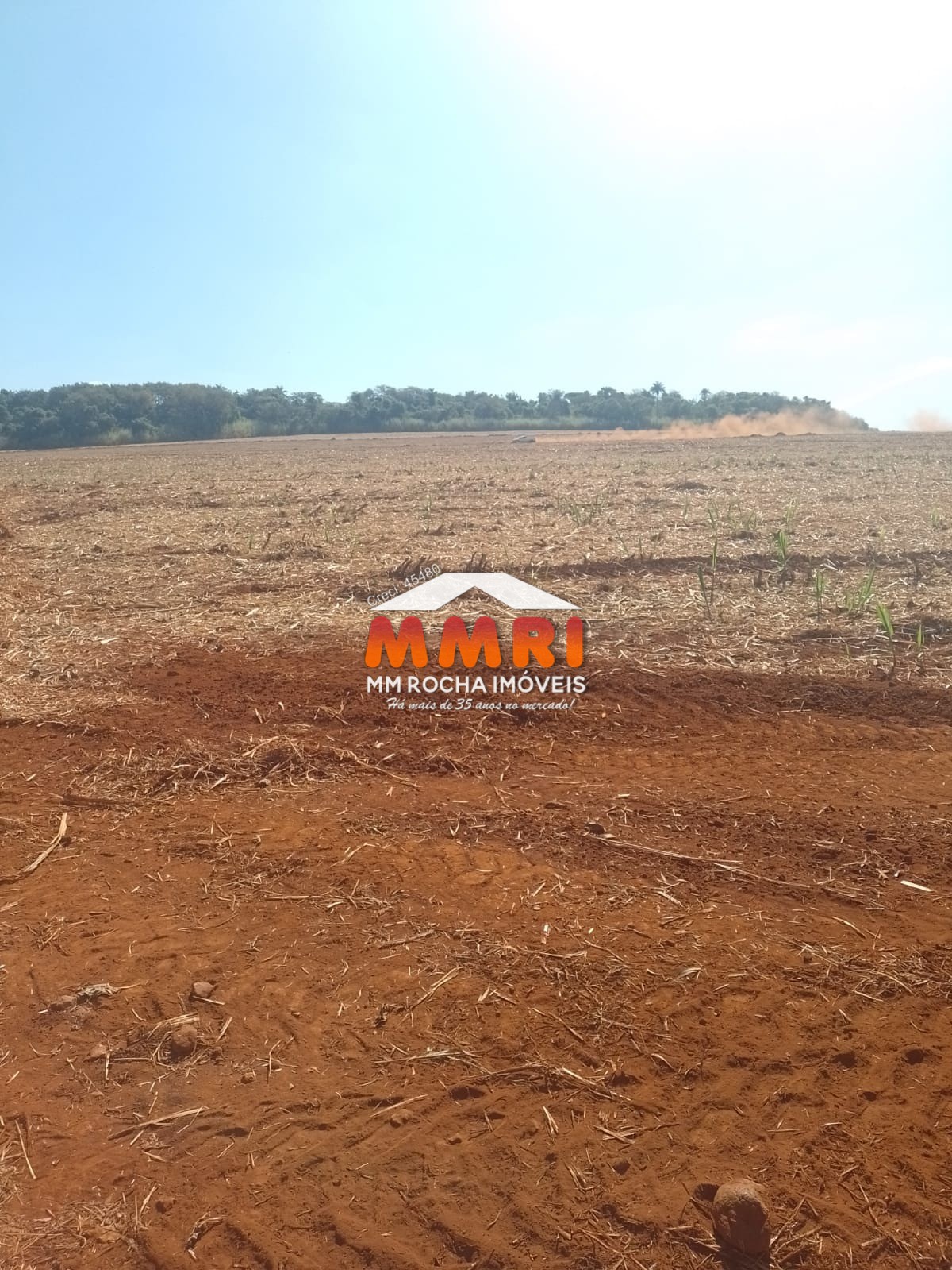 Fazenda à venda, 100m² - Foto 4