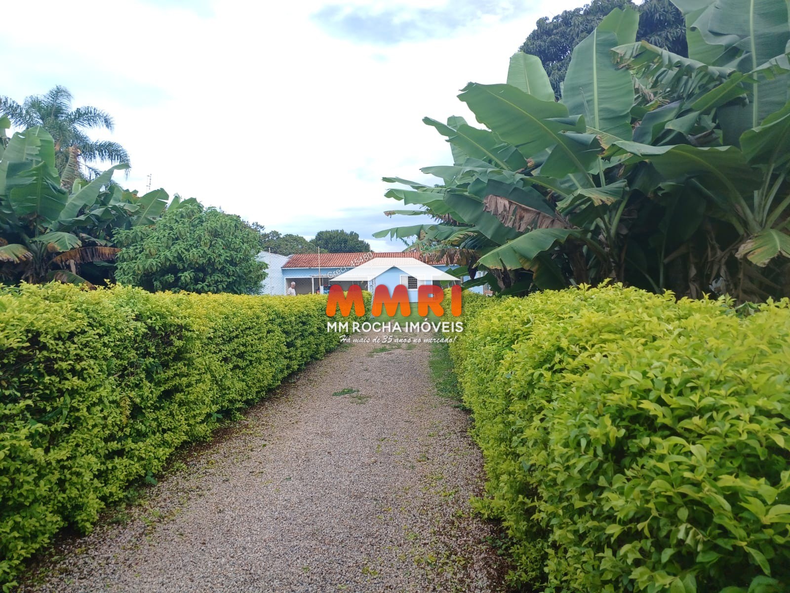 Chácara à venda com 3 quartos, 1000m² - Foto 29